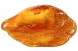 mm Spider, Leaf and Flies in Baltic Amber #123416-1
